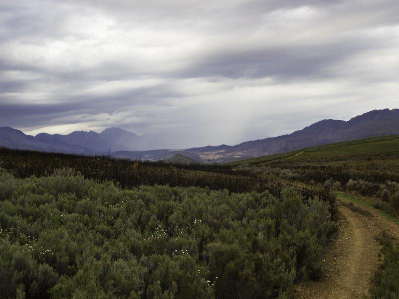 C54DB22FECD083F2A145850501626A81