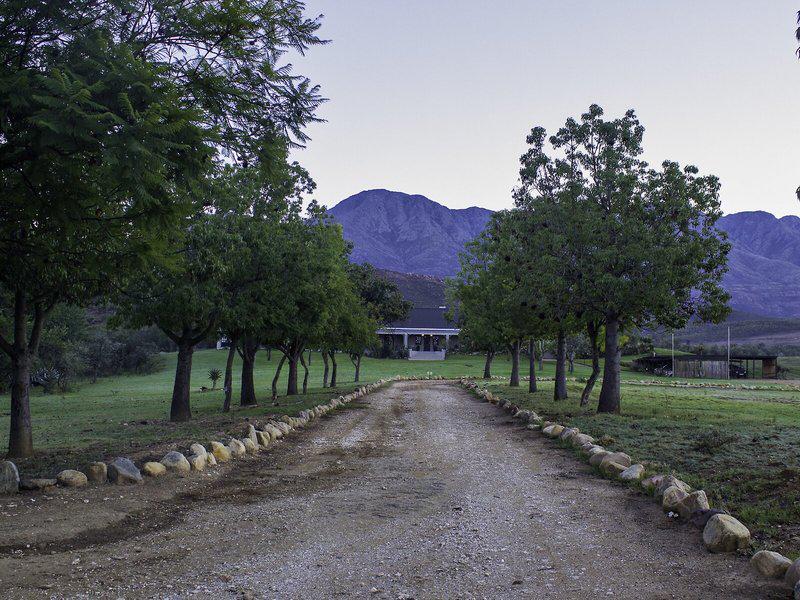 C61E4DCA248E7F86321CD830A2AEA35C