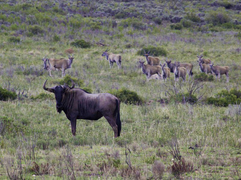 2F74E6D105E0A131714AD4C2DFD9A316