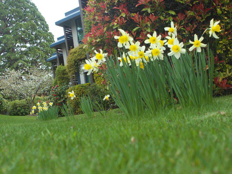 05DA0076873C30048DC3642C0539CD93