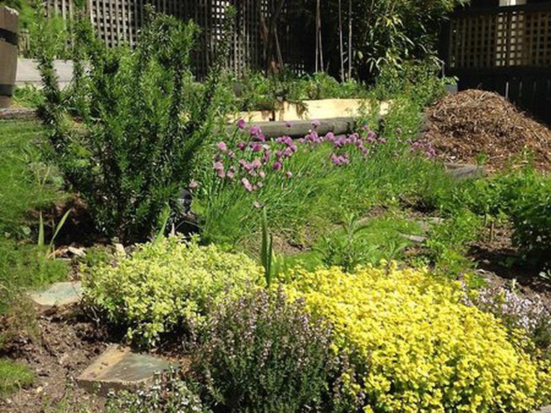 F4791CA636F395CCF8497E5DD311FB54