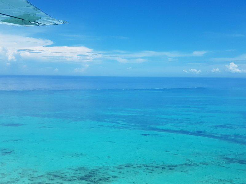 A999DCC0B629A9FF3B041A811F59F280