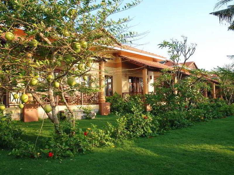 6EAD120184E99DB8EF189D5714796D12