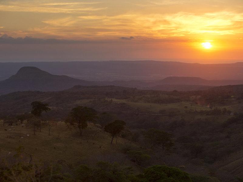 645C4D8D4513BB3F2AB20993BCD21558