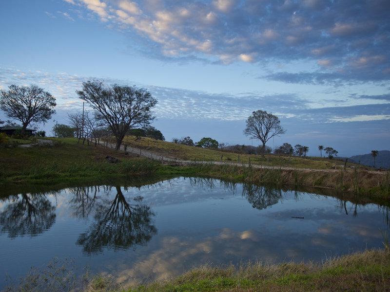 66FA11BB081BFC9297D3A2315C327AF2