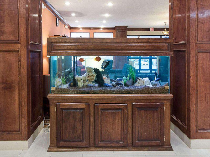 897FE42974F3D3D14720E7AEAB989D63