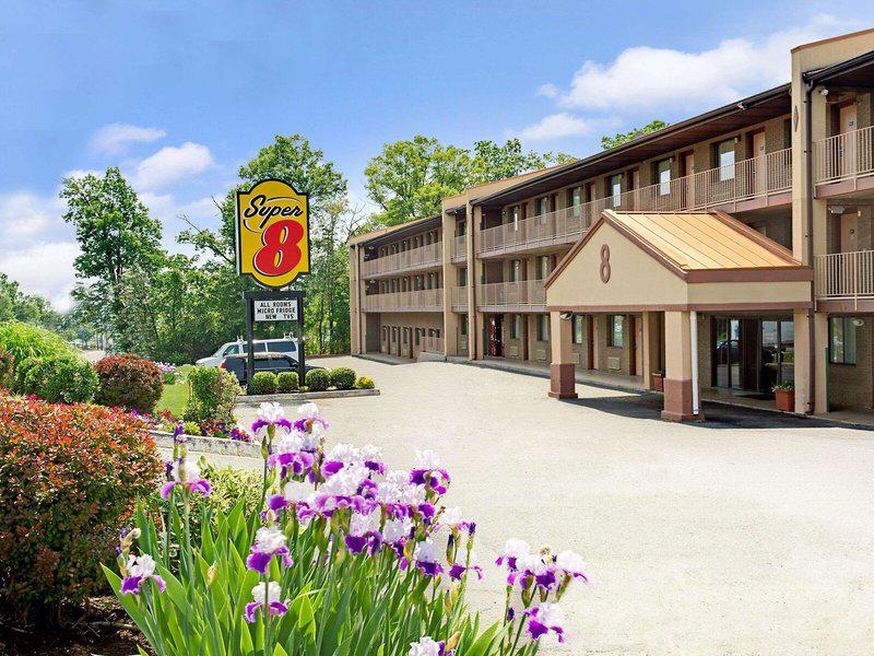 506F505BA965DEE92C392417C62BADC7