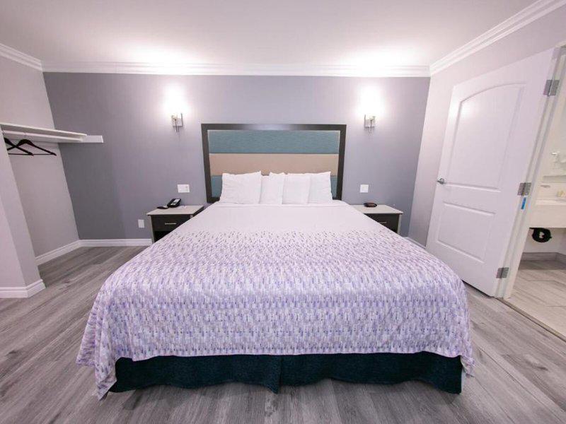 C714868BFBB597044CA16A78168362BD