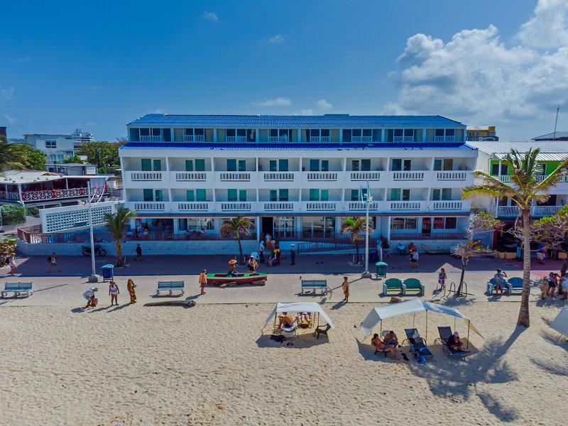 80B736B4F6CF229256DAF67E781F812B