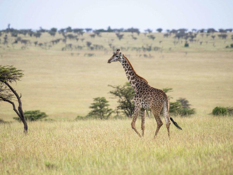 55278E87C2E408A7840485B5C09AF0AE