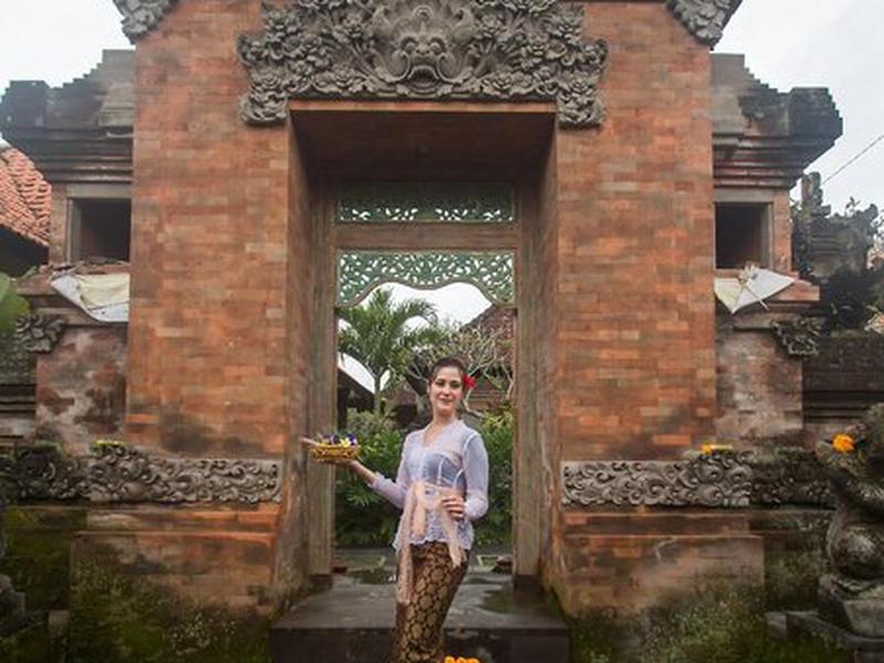 C86787B6B1758EE7E8326D4C04CD53AE