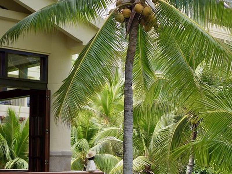 7CA7B7576329E964175C60DA6786D507