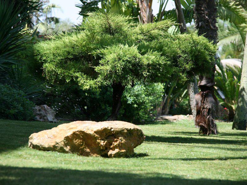 590808996F9833D31AE863E58300005C