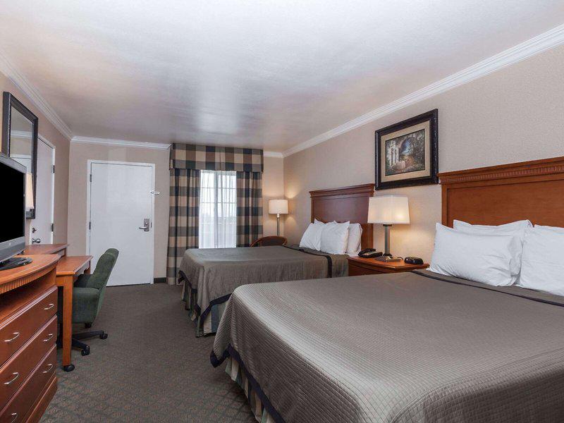 17597C9F92286858D1C4706F4525EB4C