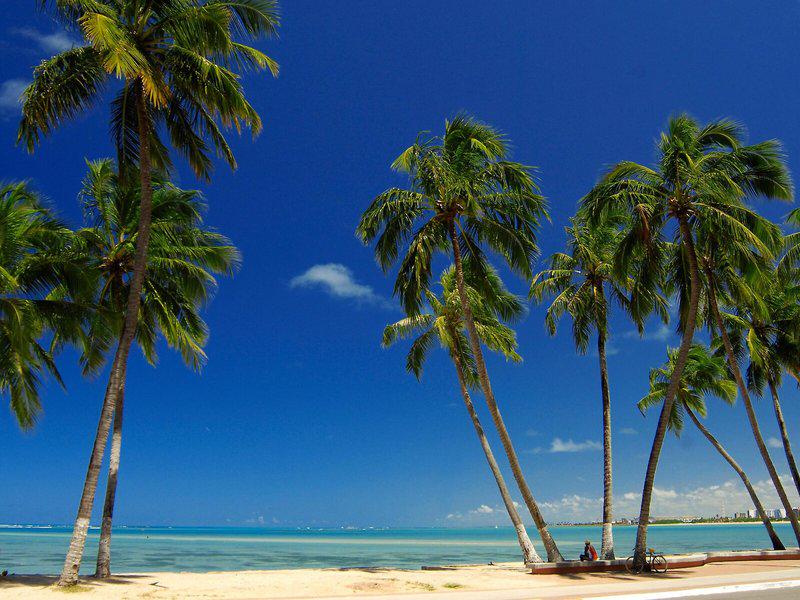 368BC4D419686373948ECA0EB1BAB2A2