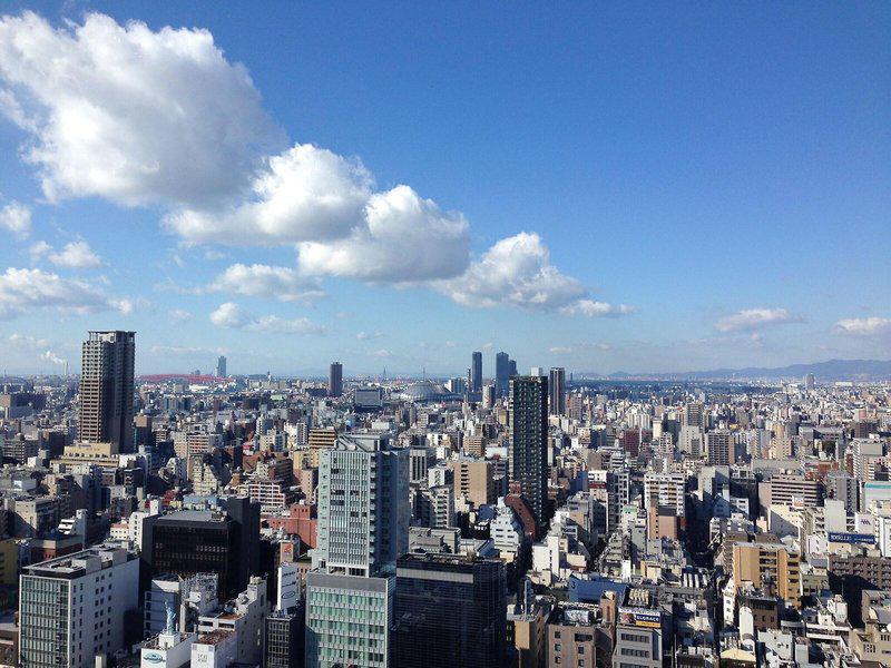 B890FE817987DD8C2A9A7F42DED6D385