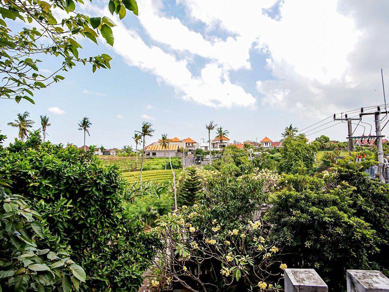 C3F5705F6683A28699AB38F24ED5AA6A