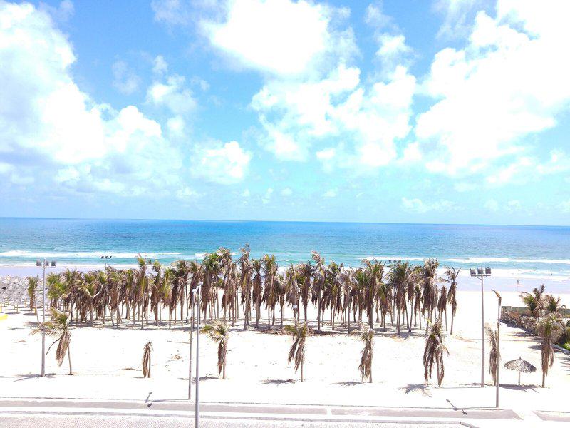 DF327127594DBB3E1B4EED223793B231