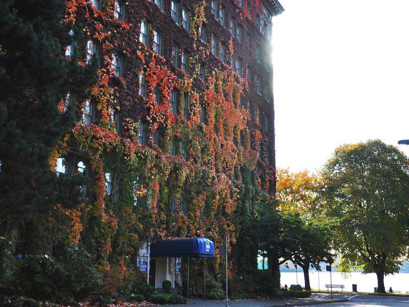 B2F6652AF09C2D682F42E70D4793D7BA