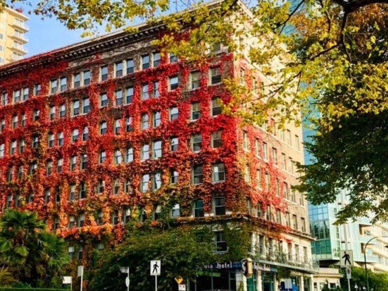 3DA4A75255D7058FFC17CA1B46D124E2