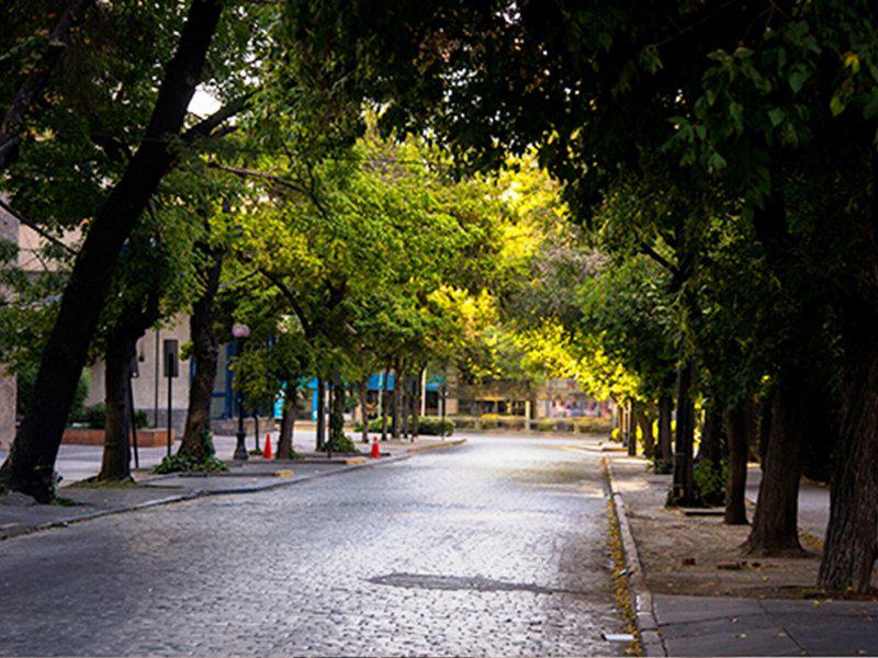 C55F32C7AE37B5DAE4B7D2986F2A298C