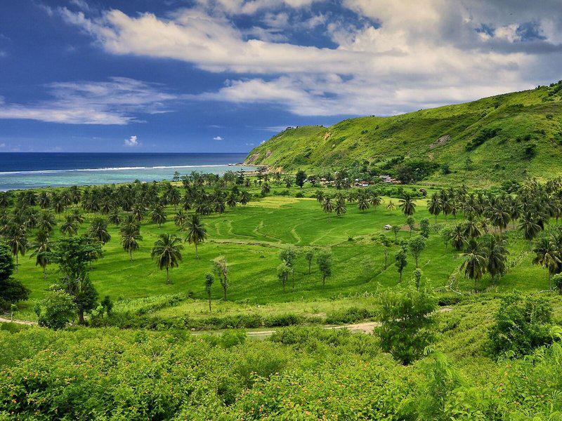 2A107DB2463C2E689DF8DBF40663F5AF