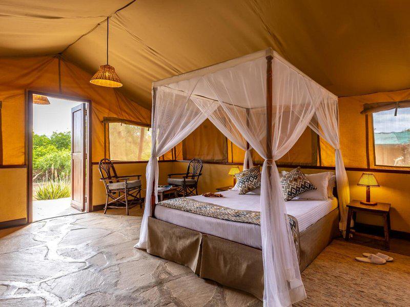 EBD77AEF2B7849A2B2859F8F15A7E6FC