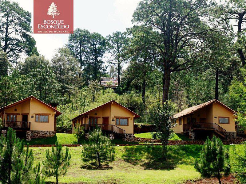 3234E11CDD64C1A955B7A54686877795