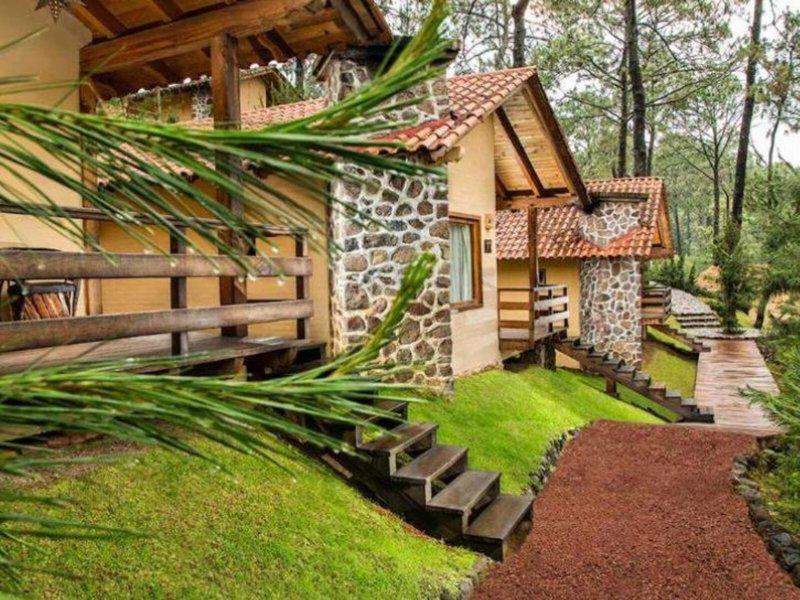 E1D922766C5C59D65E2327ED3D45F8D6