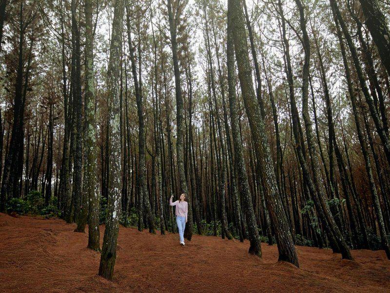 CBDB2B8C67A65E6BE81B90A0BF2830BB