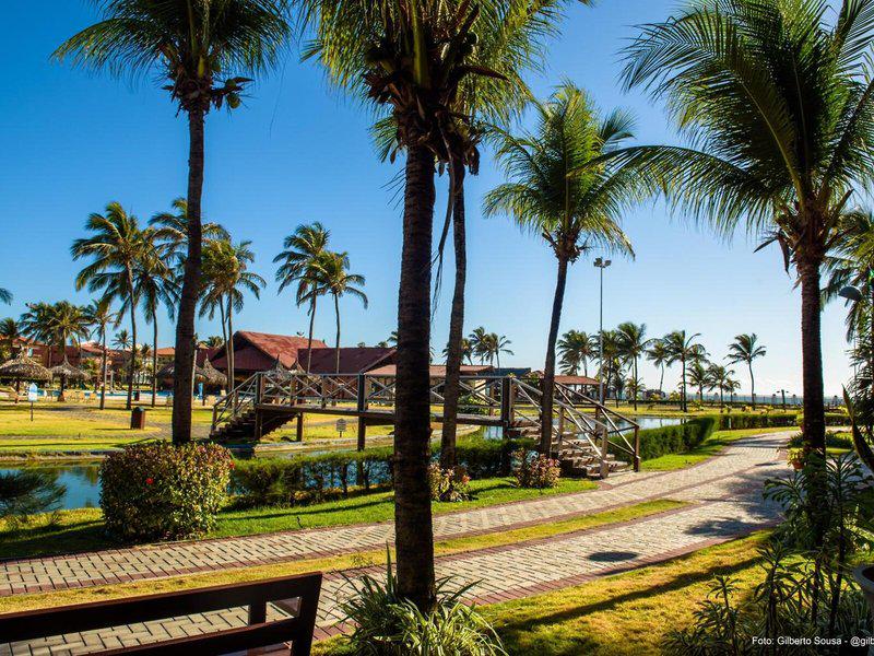 8F0EB39A8689867A4051DD6EEB78F56D