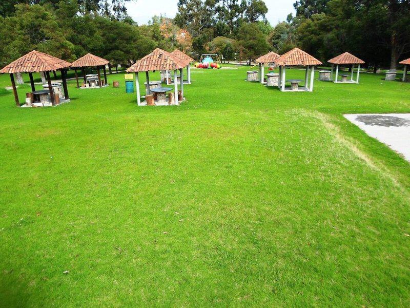 99FB1E01F3AFFA9F5FD0094D266FCEB7