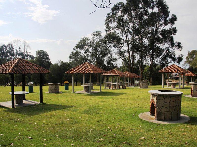 29B7BB3F8825BC1A5171FA8855F857F7