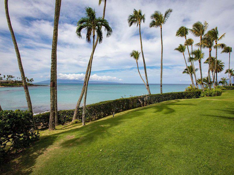 2F8D5E20748781A93AA6FA95427DC429