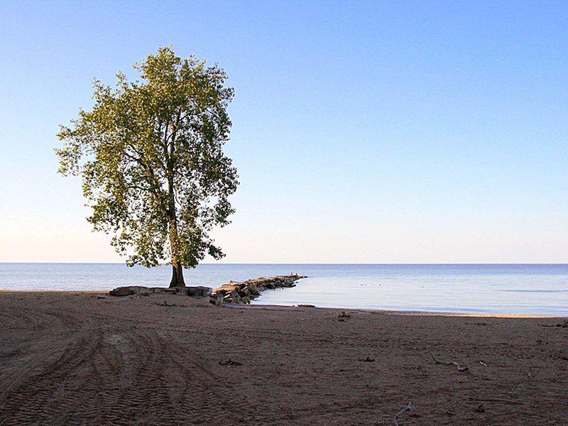 F9709E597A956054878D771FDF63CB53