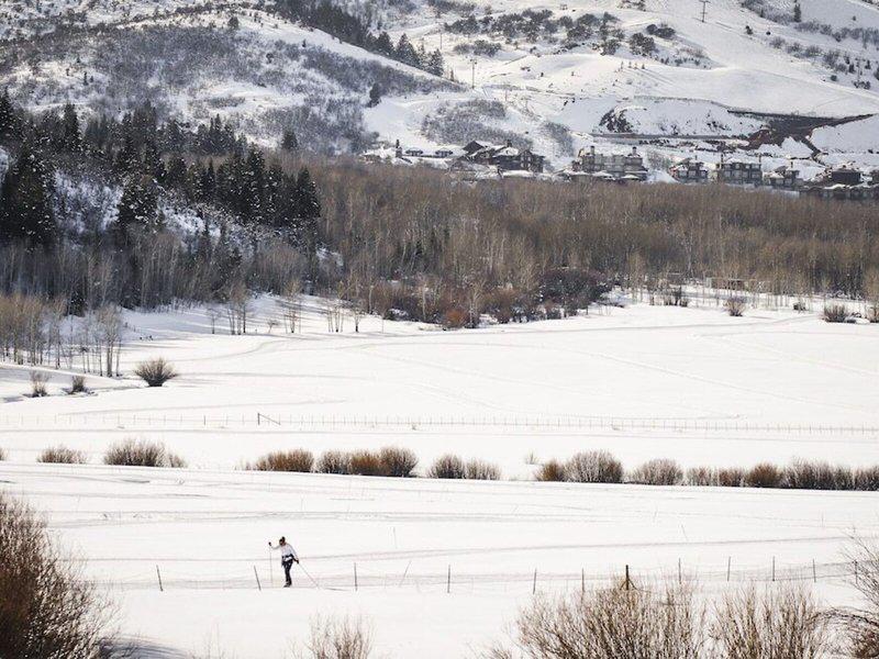 9D80FF5B1B1BFE6823A910A4BE7BC524