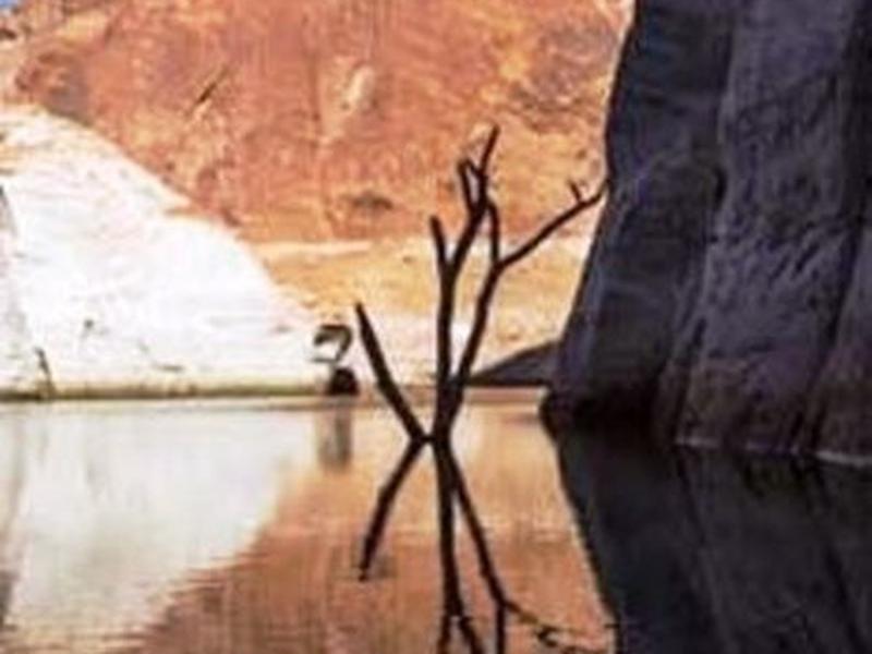 A94A1873216A7356C58DFABF824035B4