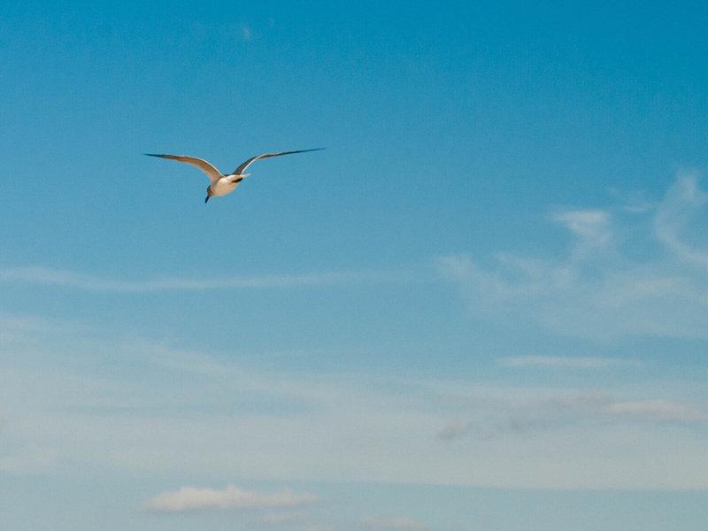 7FF90BD16B2514F00200A312EF025C60