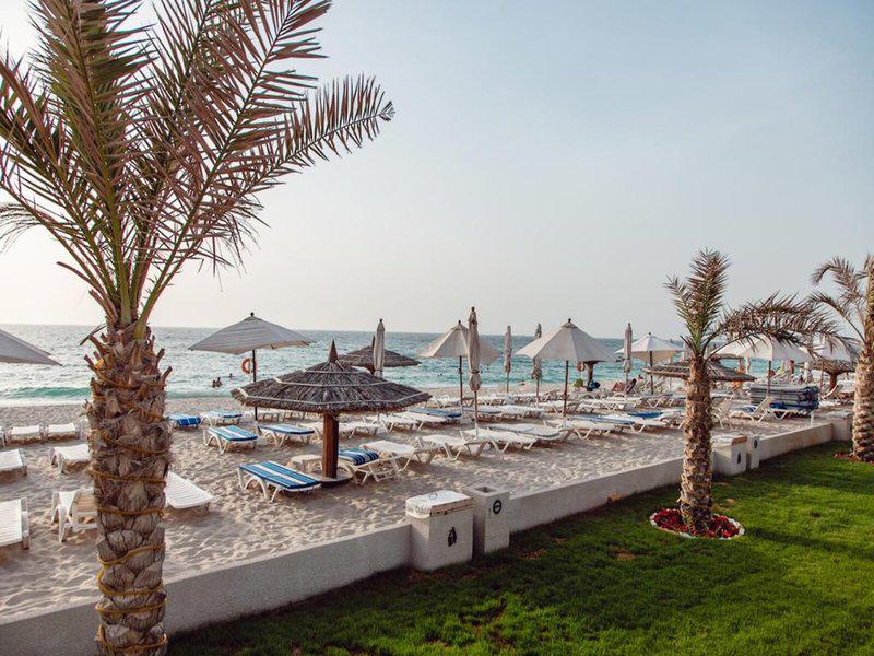 81AE24A814902643C72D8E4DC1EECC64