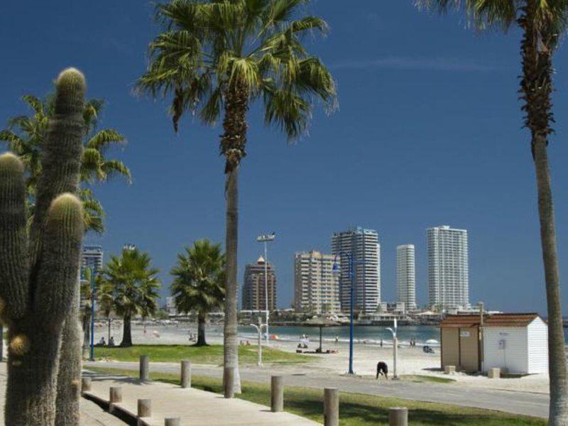 AD9F2A610C0D531C839A1828C17B1B00