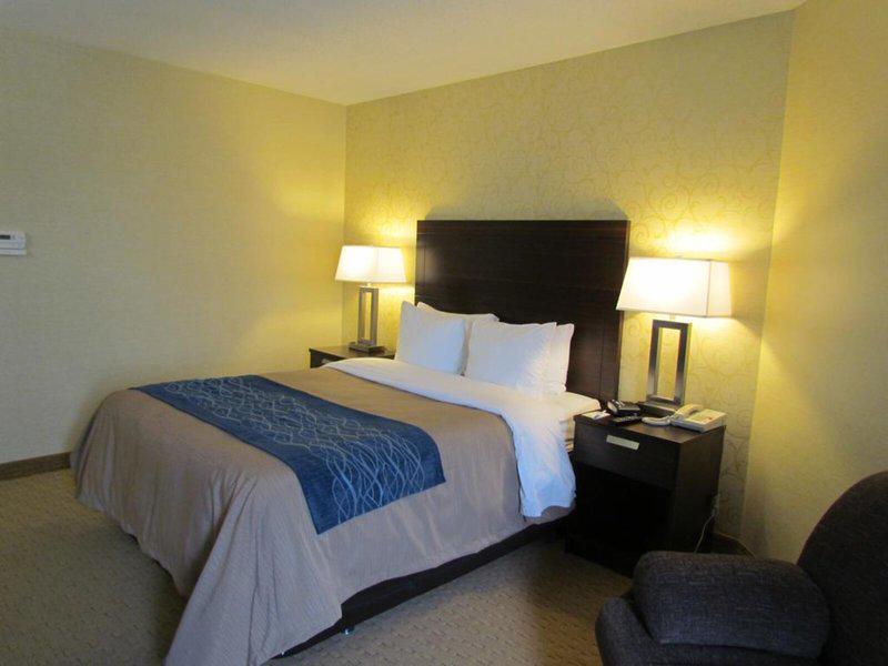 D84353DC92A3F397CAE01137A28056E8