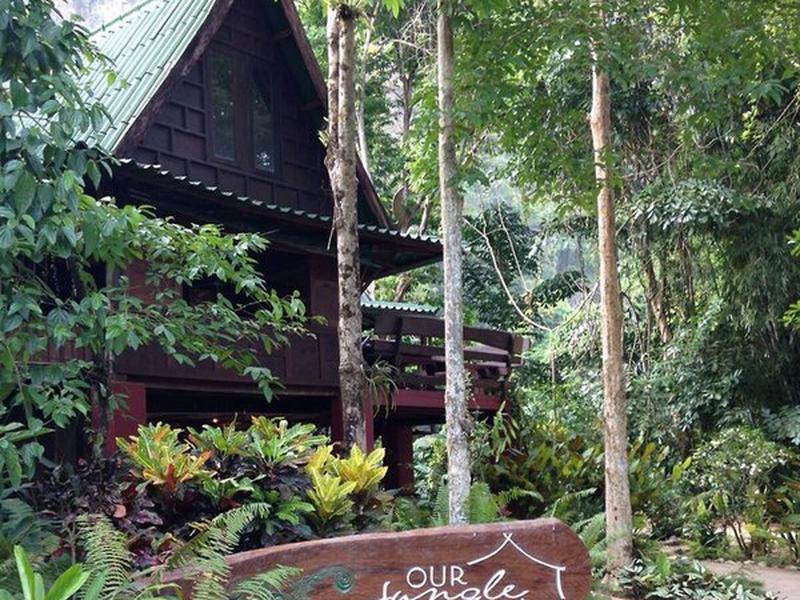 774EF1563D93407DEAF036EC8E41B312