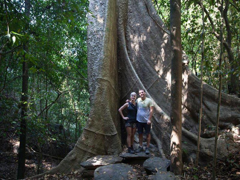 A20A3A4C86035E9A9C961443EECBF3D7