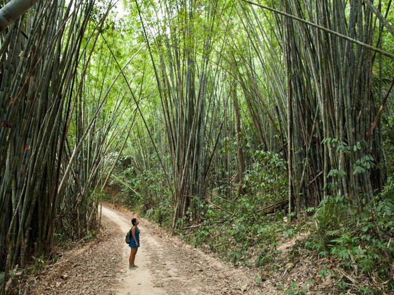 C7B3563A14FC22543C2CC14BFCC45E84