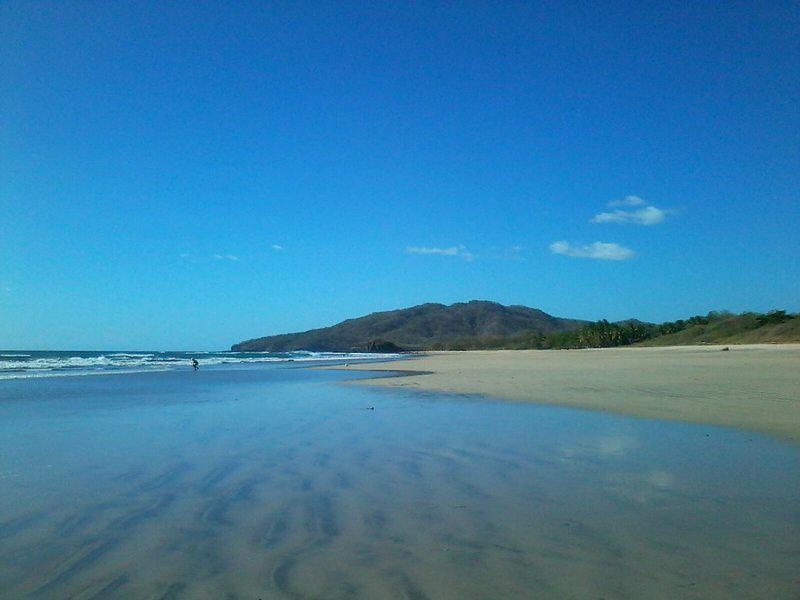 43C041999E01665B542976F919EE0E7D