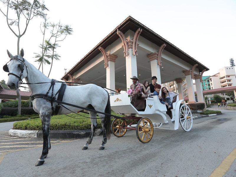 D78C0FDCF252E0863EFBDC8B75409A12