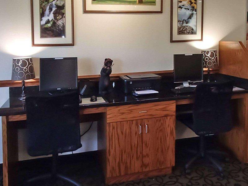 DD9A20889BA53733F749E8D7FB5C102A