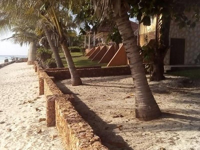 6619601EF8C9F1F2CF3A6FD67C82A800