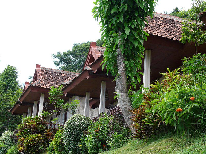 6ED8ACE4F1005C250F5F6FFE38C3871E