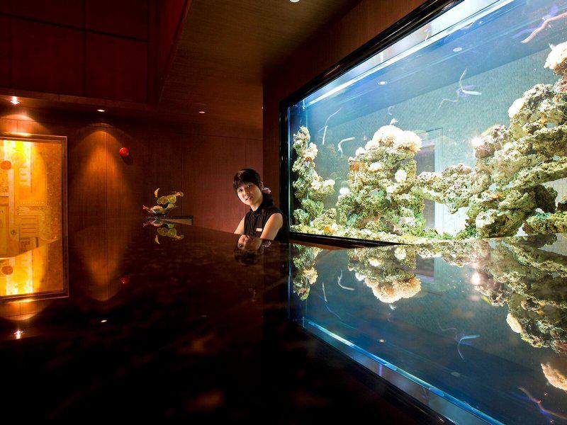 C16965F6CFD51164B29E2E80686EEF6F